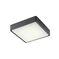 Plafoniera exterior gri IP65 LED 12W/1260lm/3000K, Marina 90157 Redo