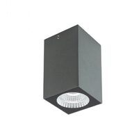 Plafoniera exterior gri dispersor sticla IP65 LED 3W/360lm/3000K, Quad 90091 Redo