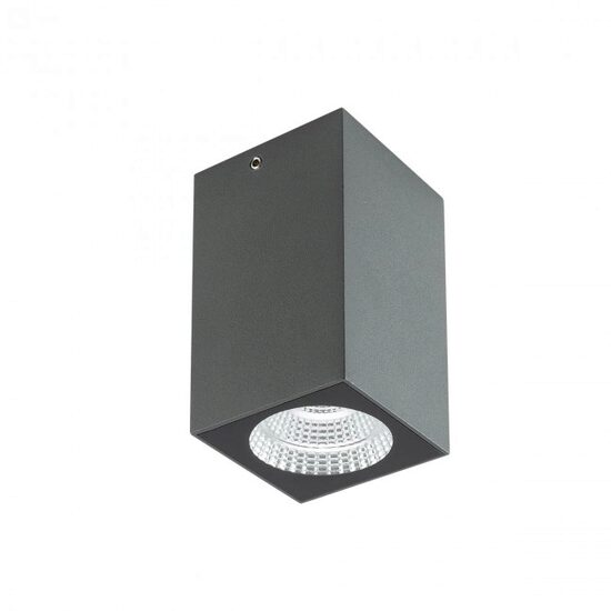 Plafoniera exterior gri dispersor sticla IP65 LED 3W/360lm/3000K, Quad 90091 Redo
