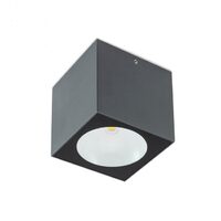 Plafoniera exterior gri dispersor sticla IP65 LED 6W/660lm/3000K, Teko 90104 Redo