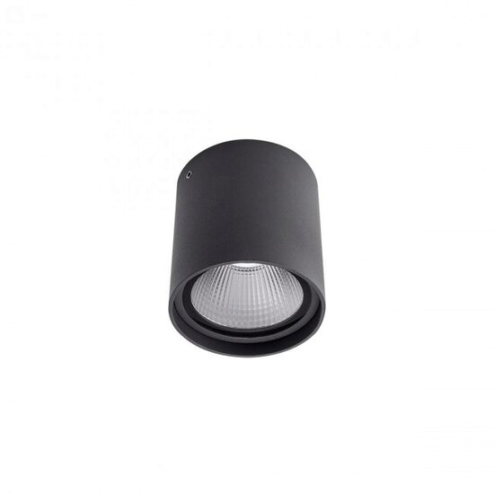 Plafoniera exterior gri rotunda IP54 LED 20W/2226lm/4000K, Xia 90030 Redo